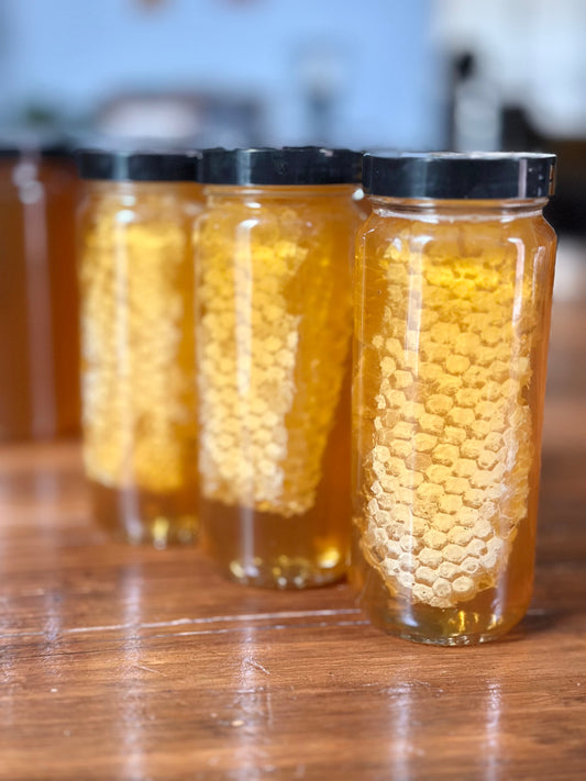 Honey with Honeycomb  (Light Color Honey) - 1 lb. jar