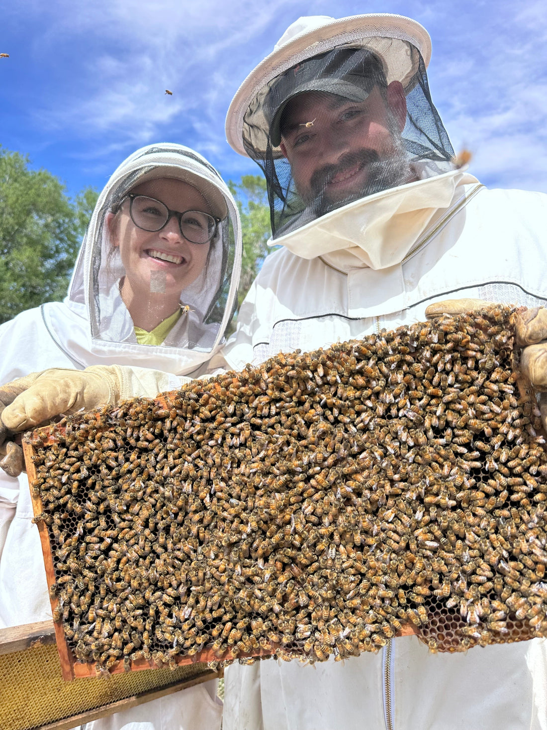 Bee Yard Tours in Lubbock County, Texas: A Hands-On Beekeeping Experience