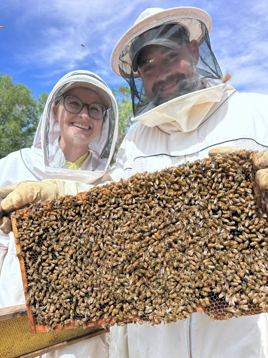 Bee Yard Tours in Lubbock County, Texas: A Hands-On Beekeeping Experience